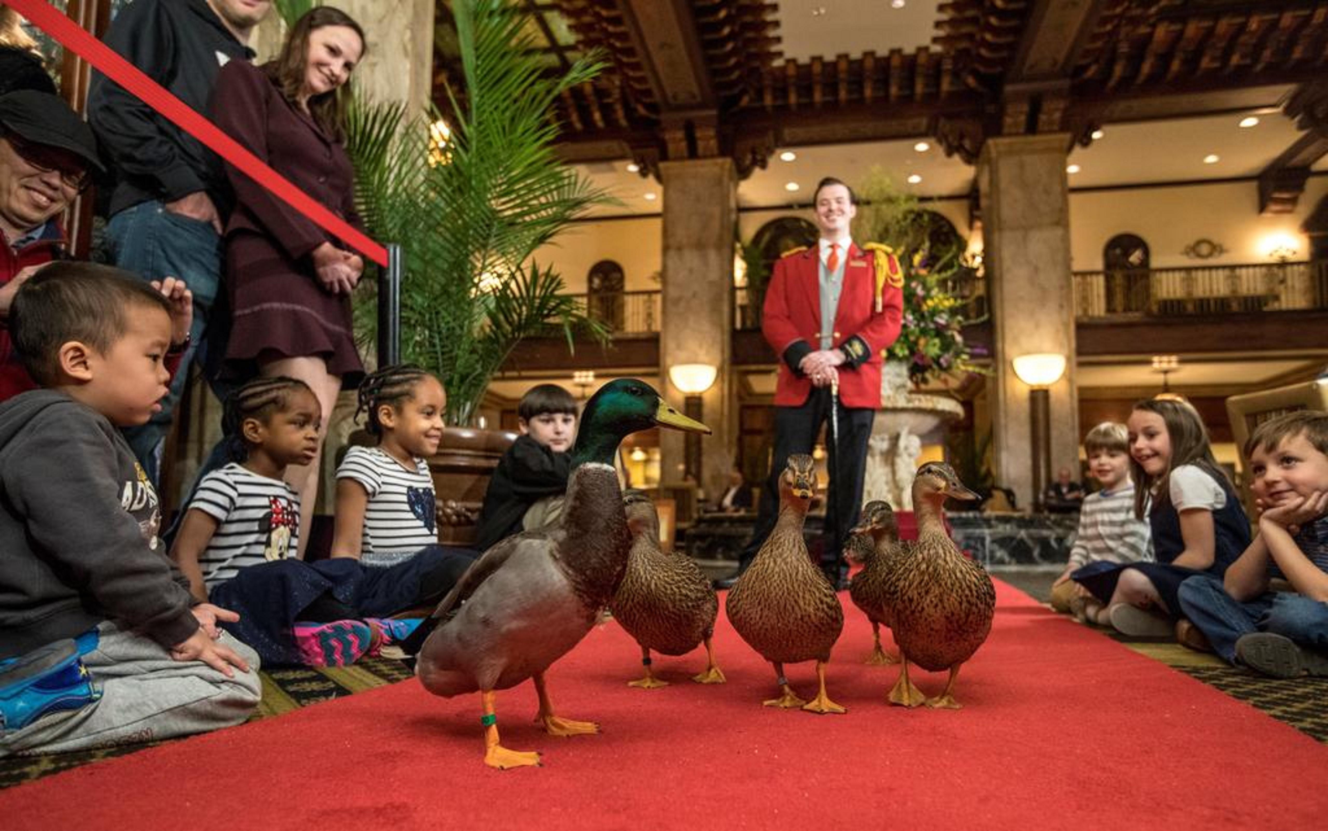 Hotel Peabody Memphis Zewnętrze zdjęcie